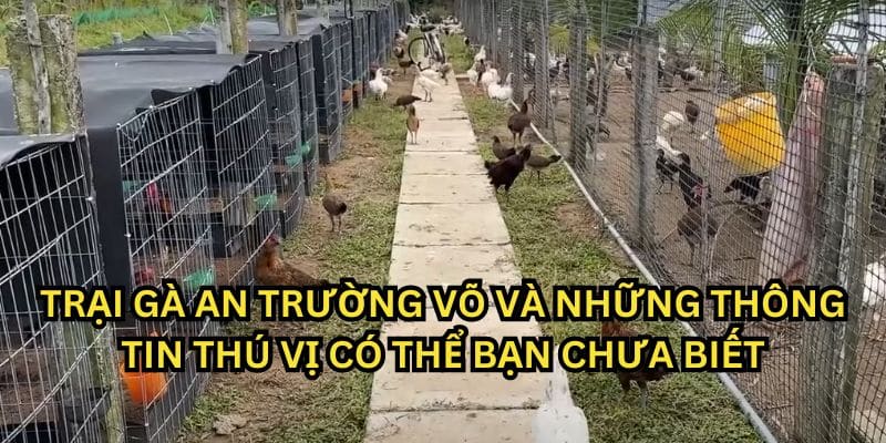 trại gà an trường võ