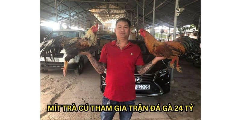 trận đá gà 24 tỷ