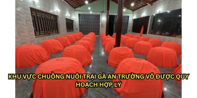 trại gà an trường võ