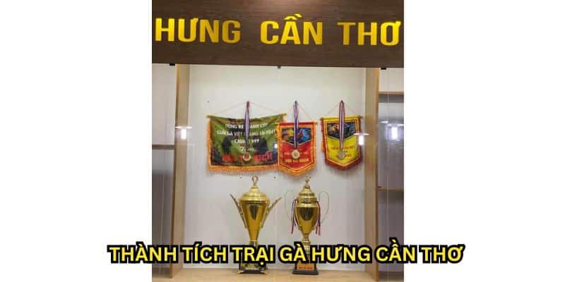 trại gà hưng cần thơ