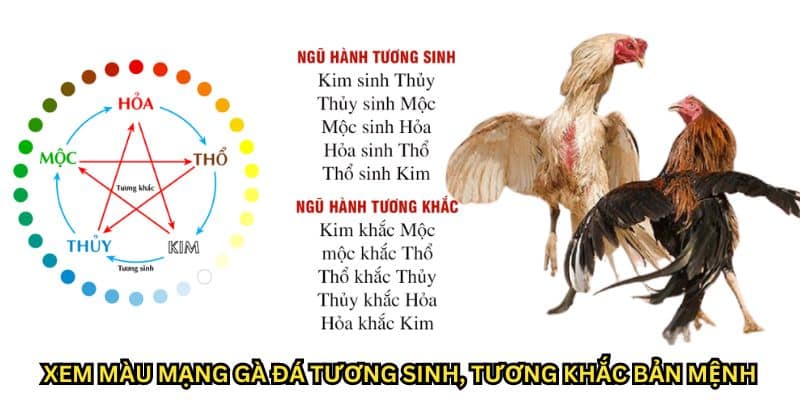 xem màu mạng gà đá