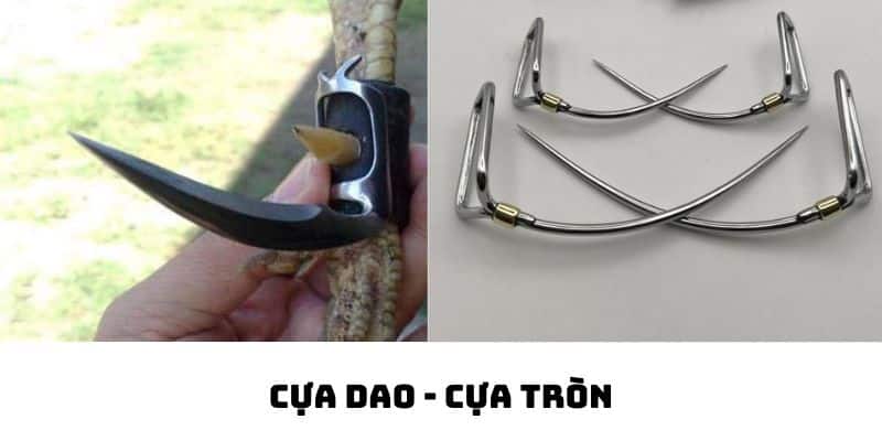 cách băng cựa gà